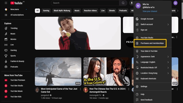 youtube premium apk android